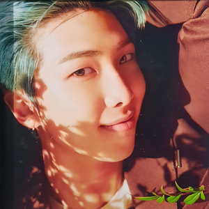 ¹•Namjoonᵀᴮᶠ⟭⟬² profile image