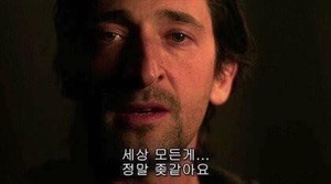 팬플그만둡니다 profile image