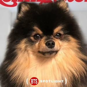 Debani87 profile image