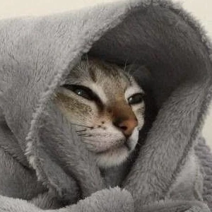 몰라면 profile image