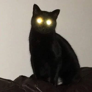 박솔연 profile image