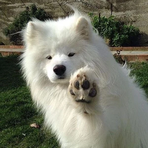 13일까지하고잠시쉴게요그동안감사했어요 profile image