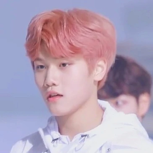 gominjae profile image