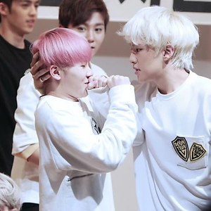 아기호랭이호시우지 profile image