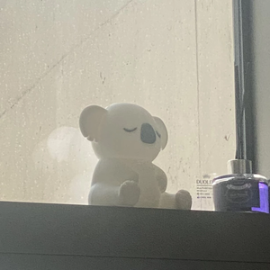 olystar profile image