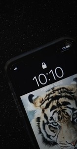 혜설 profile image