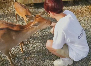 send、early、OK？ profile image