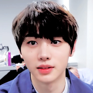 bearyhoon profile image