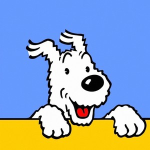 ASHIRIS profile image