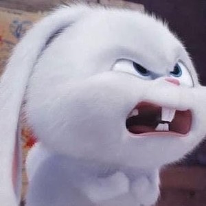 백설이에용 profile image