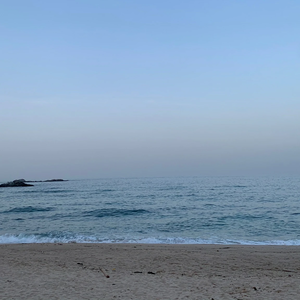 르빈이 profile image