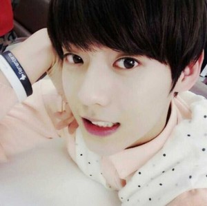 멜로디인데요 profile image