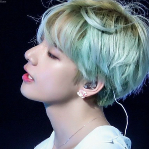 힛트회장님 profile image