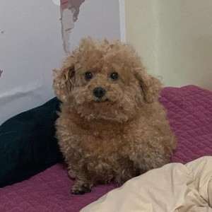 ㅓㅏㅓㅏ profile image