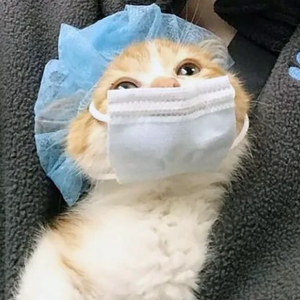 마이쮸좋아하는잡덕 profile image