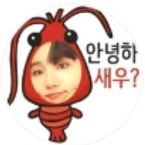 웅폭스 profile image