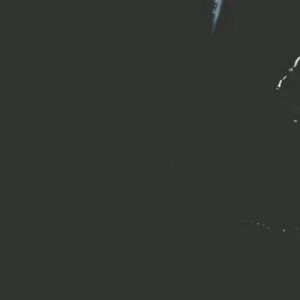 망상가 profile image