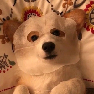 3e0cbe1975a7d982f2ef1fde11a4f822 profile image