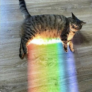 옙오 profile image