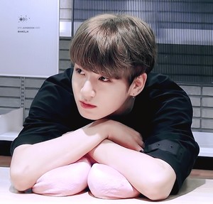 보라국 profile image