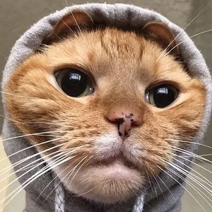 봄날에만나자 profile image