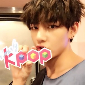 anitdrk1 profile image