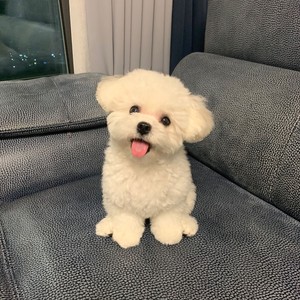 김예쀼 profile image