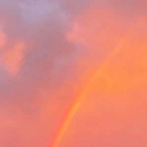 수귀 profile image