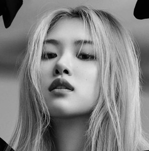 rosesforrosie211 profile image