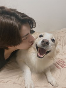 자동차의심장엔진 profile image