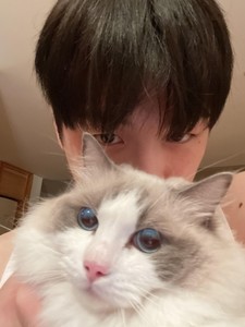 puppyorcat profile image