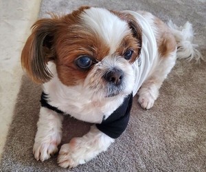 jinlindote profile image