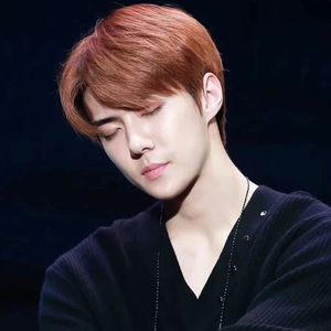 Sa-yuri¹ profile image