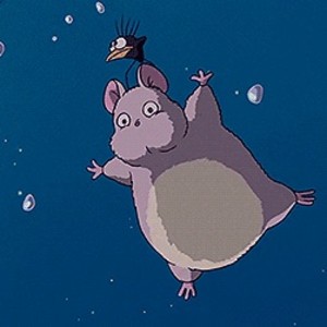 최보우 profile image