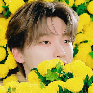 Elly작가 profile image