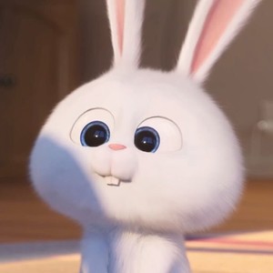 럽토끼 profile image