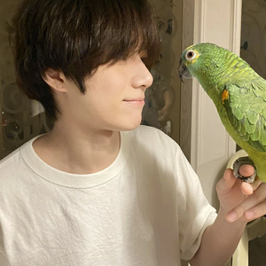 수비니웅냥냥 profile image