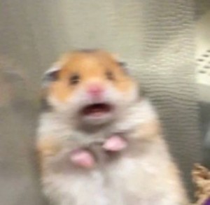 宥潾-아리야 profile image