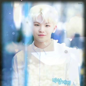 캐럿들모여라 profile image