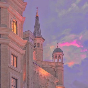 보라Moon profile image