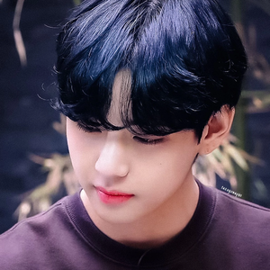 BTSUNIVERSE1 profile image