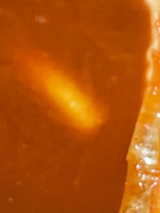 용가리치킨 profile image