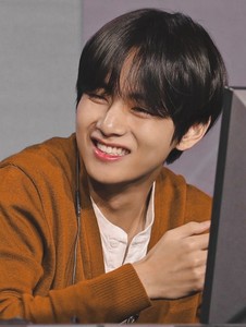 cutebear3 profile image