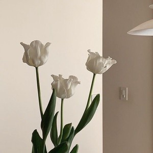 화량 profile image