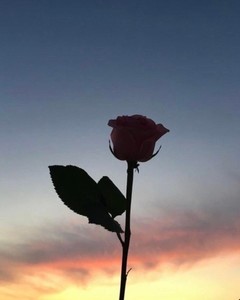 dd86755c6fbbbaa043dd55f7cb41aeac profile image