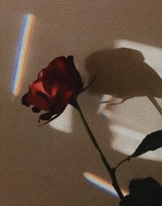 리멋 profile image