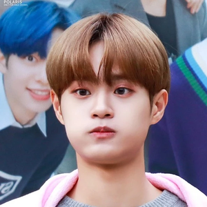 리오메리 profile image