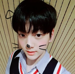 코쿠 profile image