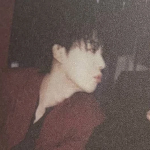 보라돌돌이 profile image