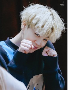 임또 profile image